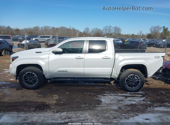 3TYLC5LN0RT007943 2024 TOYOTA TACOMA HYBRID White 