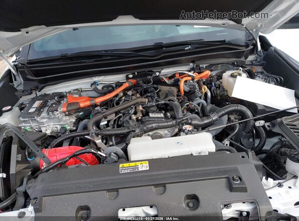 3TYLC5LN3ST044832 2025 TOYOTA TACOMA HYBRID Белый Вид сзади
