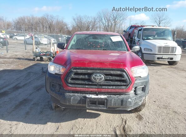 3TYSX5EN0LT002598 2020 TOYOTA TACOMA Red Вид задньої частини салону