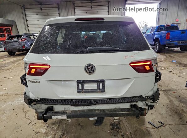 3VV1B7AX8KM087067 2019 VOLKSWAGEN TIGUAN Белый Вид сзади