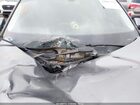 2023 Volkswagen Tiguan 2.0t Se Gray vin: 3VVMB7AX6PM003672