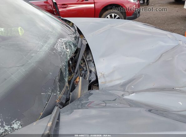 3VVMB7AX6PM003672 2023 VOLKSWAGEN TIGUAN Gray 