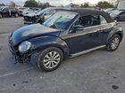 2019 Volkswagen Beetle S Black vin: 3VW5DAAT0KM504716