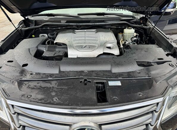 JTJHY7AX2H4242774 2017 LEXUS LX Синий Вид задней части салона