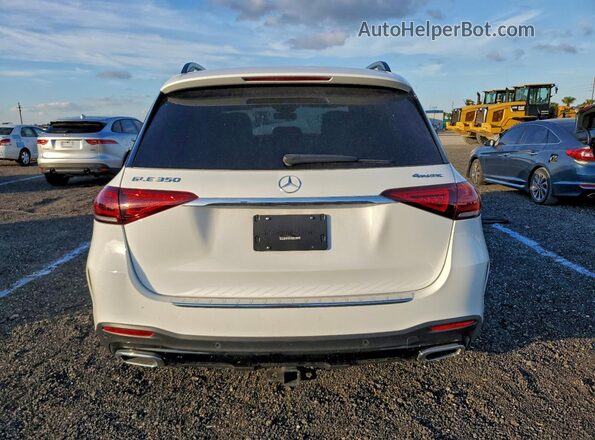 4JGFB4KB2PA850271 2023 MERCEDES-BENZ GLE Белый Вид сзади