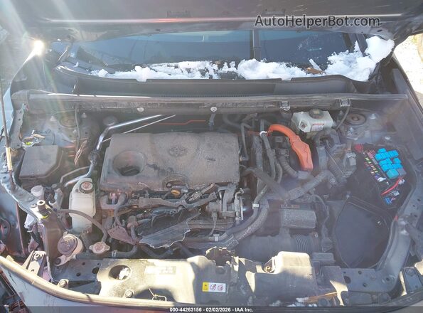 4T3EWRFV9LU003510 2020 TOYOTA RAV4 HYBRID Gray Widok z tyłu