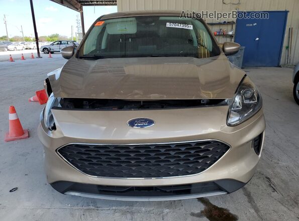 1FMCU0G63MUB00700 2021 FORD ESCAPE Желто-коричневый Вид сзади