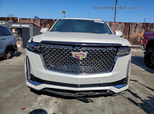1GYS4RKL0PR165040 2023 CADILLAC ESCALADE Белый Вид сзади