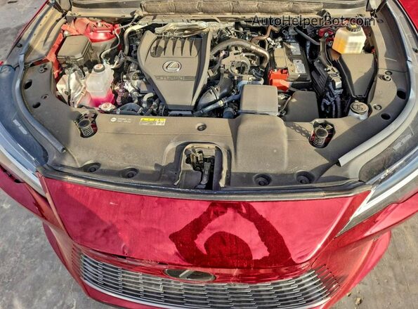 2T2BAMBA6RC051004 2024 LEXUS RX 350 Red VIN კოდის სტიკერის ხედი