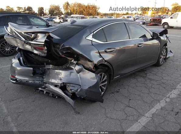 58AC21B10LU011066 2020 LEXUS ES 300H Серый Задняя правая четверть