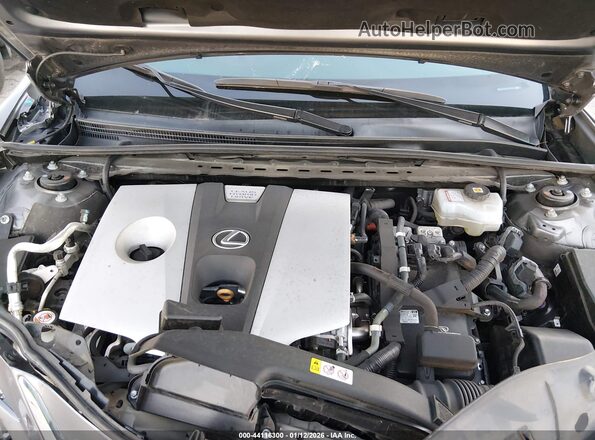 58AC21B10LU011066 2020 LEXUS ES 300H Серый Вид сзади