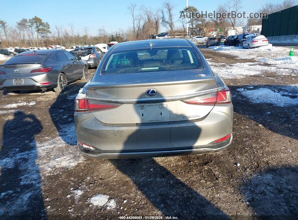 58ADA1C10MU011379 2021 LEXUS ES 300H Gray 