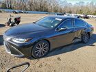 2021 Lexus Es 300h Black vin: 58ADA1C11MU006059