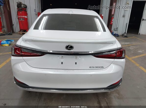 58ADA1C13SU058855 2025 LEXUS ES 300H Белый 