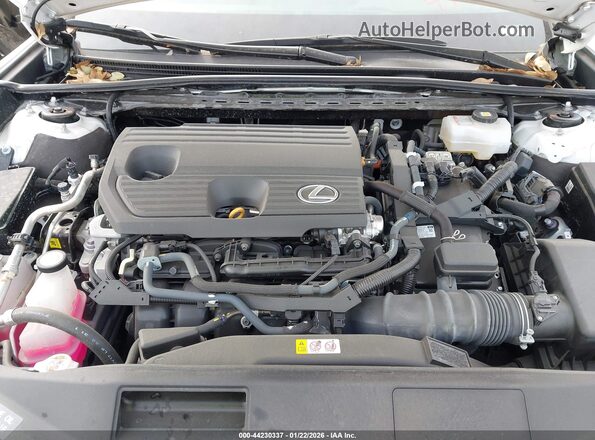 58ADA1C16RU049299 2024 LEXUS ES 300H Белый Вид сзади