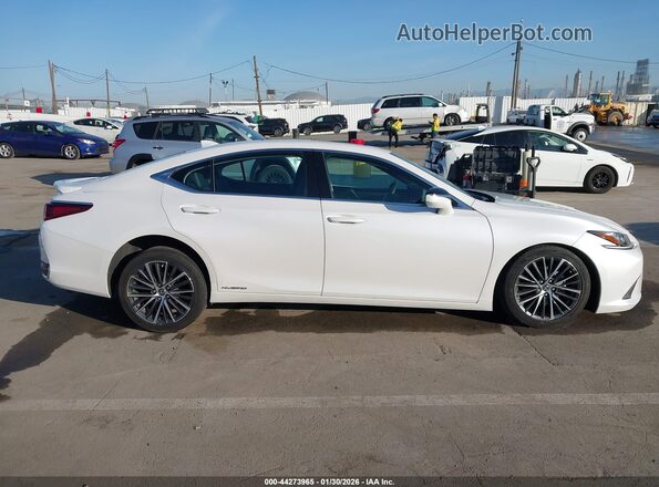 58ADA1C19NU014976 2022 LEXUS ES 300H Белый Вид задней части салона