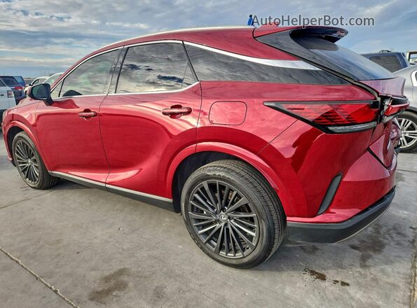 2T2BAMBA6RC051004 2024 LEXUS RX 350 Red უკანა მარჯვენა