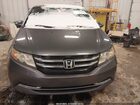 2017 Honda Odyssey Ex-l Серый vin: 5FNRL5H60HB001084