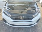 2026 Honda Odyssey Exl Белый vin: 5FNRL6H62TB002204