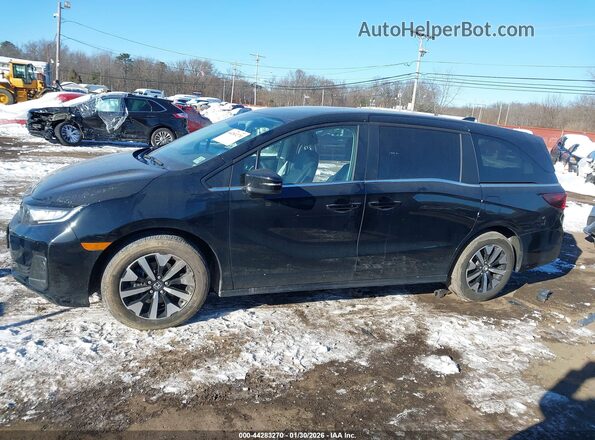 5FNRL6H64SB008293 2025 HONDA ODYSSEY Black Widok wnętrza 360 stopni