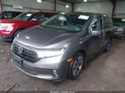 2024 Honda Odyssey Ex-l Blue vin: 5FNRL6H66RB042004