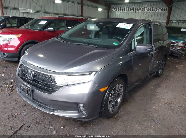 5FNRL6H66RB042004 2024 HONDA ODYSSEY Blue Vista tres cuartos delantera izquierda