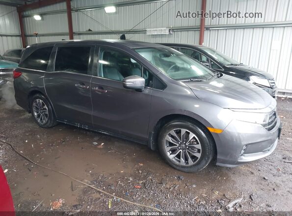 5FNRL6H66RB042004 2024 HONDA ODYSSEY Blue Delantero derecho