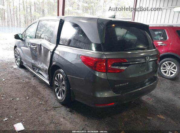 5FNRL6H66RB042004 2024 HONDA ODYSSEY Blue Trasero izquierdo