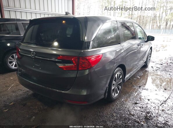 5FNRL6H66RB042004 2024 HONDA ODYSSEY Blue Trasero derecho