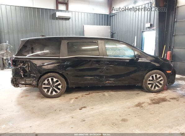 5FNRL6H69SB072393 2025 HONDA ODYSSEY Черный Панорамный вид салона 360°