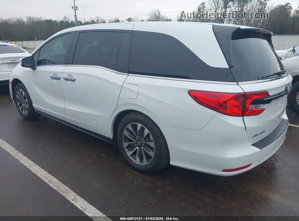5FNRL6H6XPB035974 2023 HONDA ODYSSEY Белый Задняя левая четверть