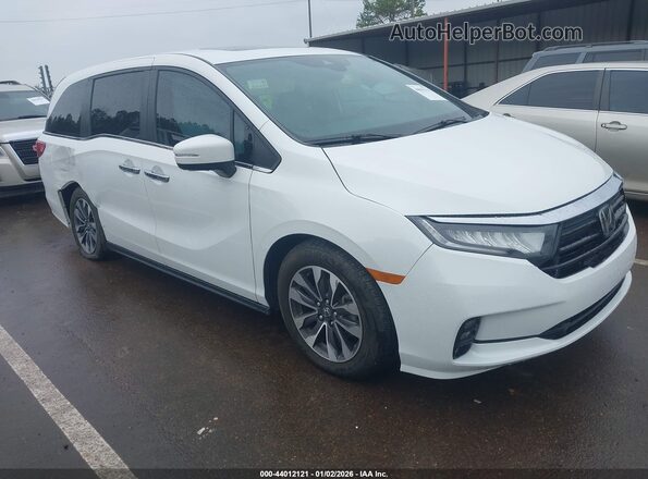 5FNRL6H6XPB035974 2023 HONDA ODYSSEY Белый Передняя правая четверть