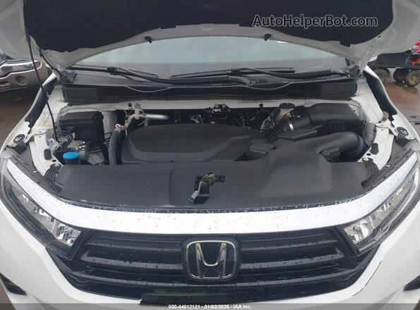 5FNRL6H6XPB035974 2023 HONDA ODYSSEY Белый Вид сзади