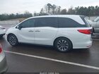 2023 Honda Odyssey Ex-l Белый vin: 5FNRL6H6XPB035974