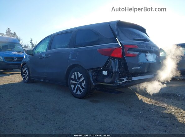 5FNRL6H6XSB075240 2025 HONDA ODYSSEY Серый Задняя левая четверть