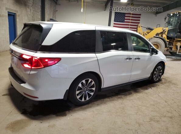 5FNRL6H70MB023451 2021 HONDA ODYSSEY White Задня права чверть