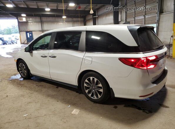 5FNRL6H70MB023451 2021 HONDA ODYSSEY White Задня ліва чверть