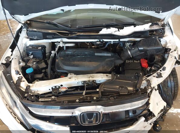 5FNRL6H71LB040242 2020 HONDA ODYSSEY Белый Вид сзади