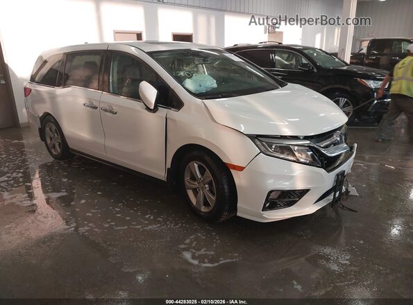 5FNRL6H71LB040242 2020 HONDA ODYSSEY Белый Передняя правая четверть