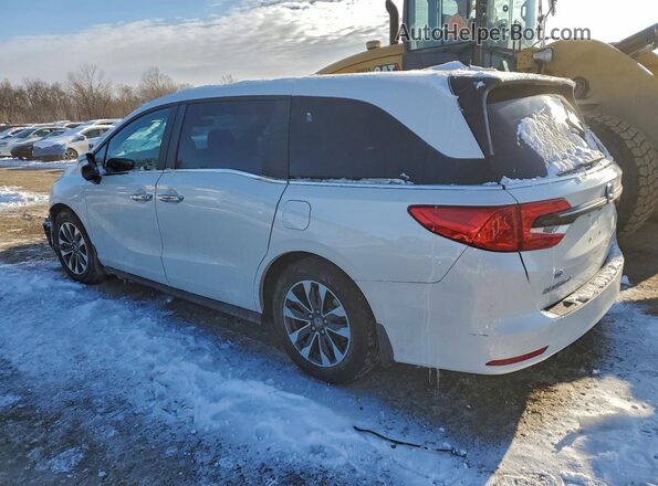 5FNRL6H72MB032717 2021 HONDA ODYSSEY Белый Задняя левая четверть