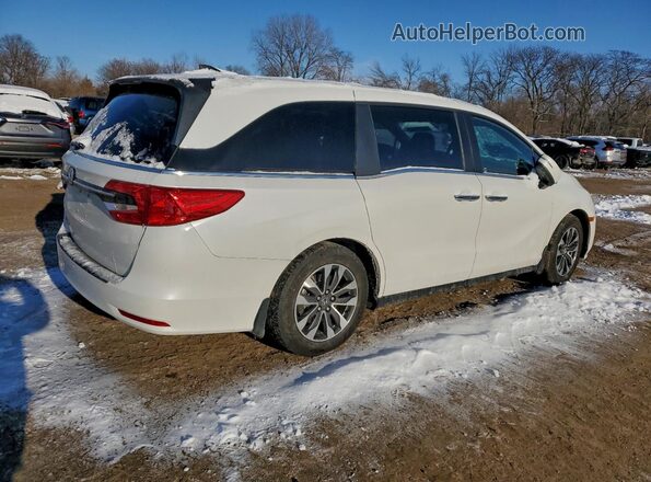 5FNRL6H72MB032717 2021 HONDA ODYSSEY Белый Задняя правая четверть