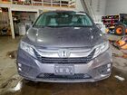 2019 Honda Odyssey Exl Gray vin: 5FNRL6H74KB010313