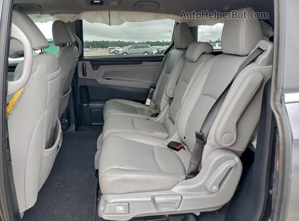 5FNRL6H78KB115971 2019 HONDA ODYSSEY Серый Вид задней части салона