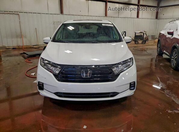 5FNRL6H80RB012384 2024 HONDA ODYSSEY White Front view