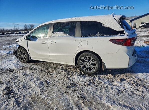 5FNRL6H89TB002069 2026 HONDA ODYSSEY Белый Задняя левая четверть