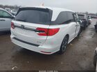 2023 Honda Odyssey Elite White vin: 5FNRL6H93PB027631