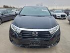2024 Honda Odyssey Elite Black vin: 5FNRL6H94RB010646