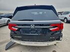 2024 Honda Odyssey Elite Black vin: 5FNRL6H94RB010646