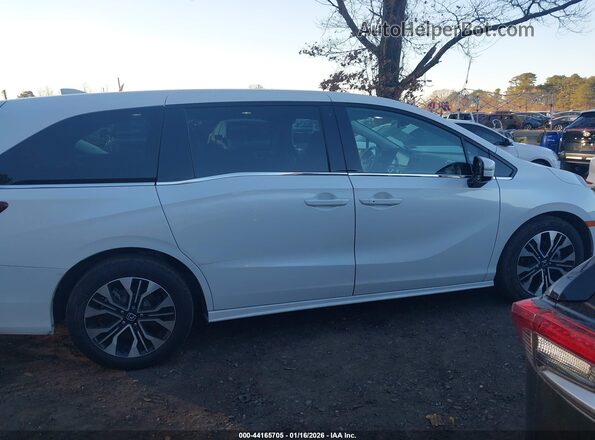 5FNRL6H94SB044026 2025 HONDA ODYSSEY Белый Вид задней части салона