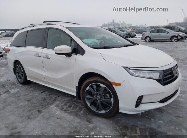 5FNRL6H98PB014907 2023 HONDA ODYSSEY White Przód prawy
